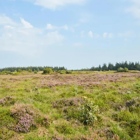 Ostmarken Toftlund Xii * Toftlund